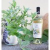 Abstracte | Pinot grigio IGP Puglia