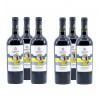 conTurbante - Nero d'Avola Igp Puglia - Confezione da 6